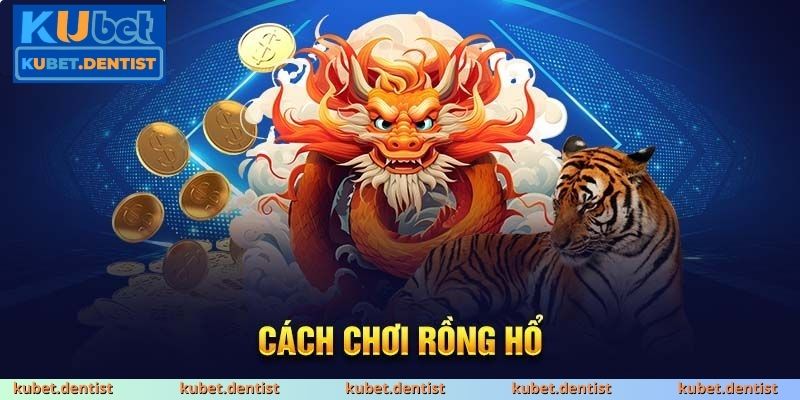 Chiến thuật chơi rồng hổ đỉnh cao cho anh em