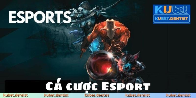 Cá cược Esport